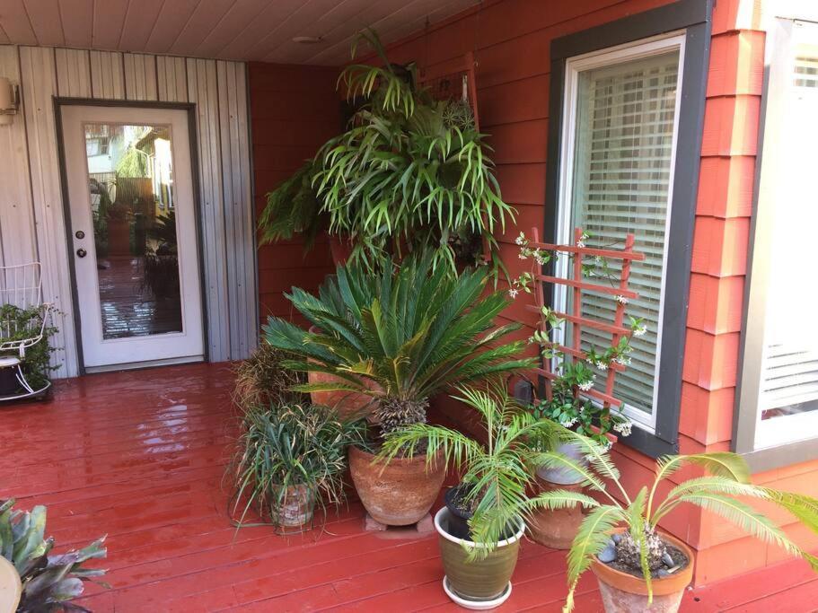 Serenity House Near Gaslamp, San Diego Zoo & Petco Exterior photo